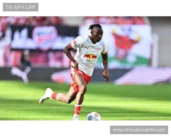 英超是否不招非洲球员?事实与误解探讨 英超是否不招非洲球员?事实与误解探讨